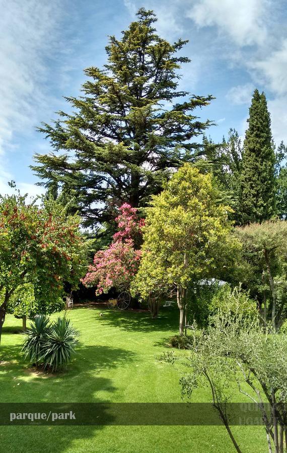 Bed and Breakfast Quinta Ugarte Lujan de Cuyo Esterno foto